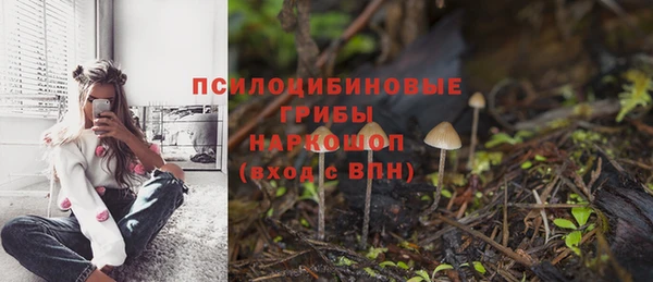СК Корсаков