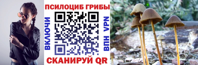 Псилоцибиновые грибы ЛСД  Купить где  Каневская 