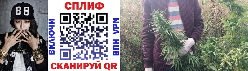Бошки марихуана Ganja Купить где Каневская